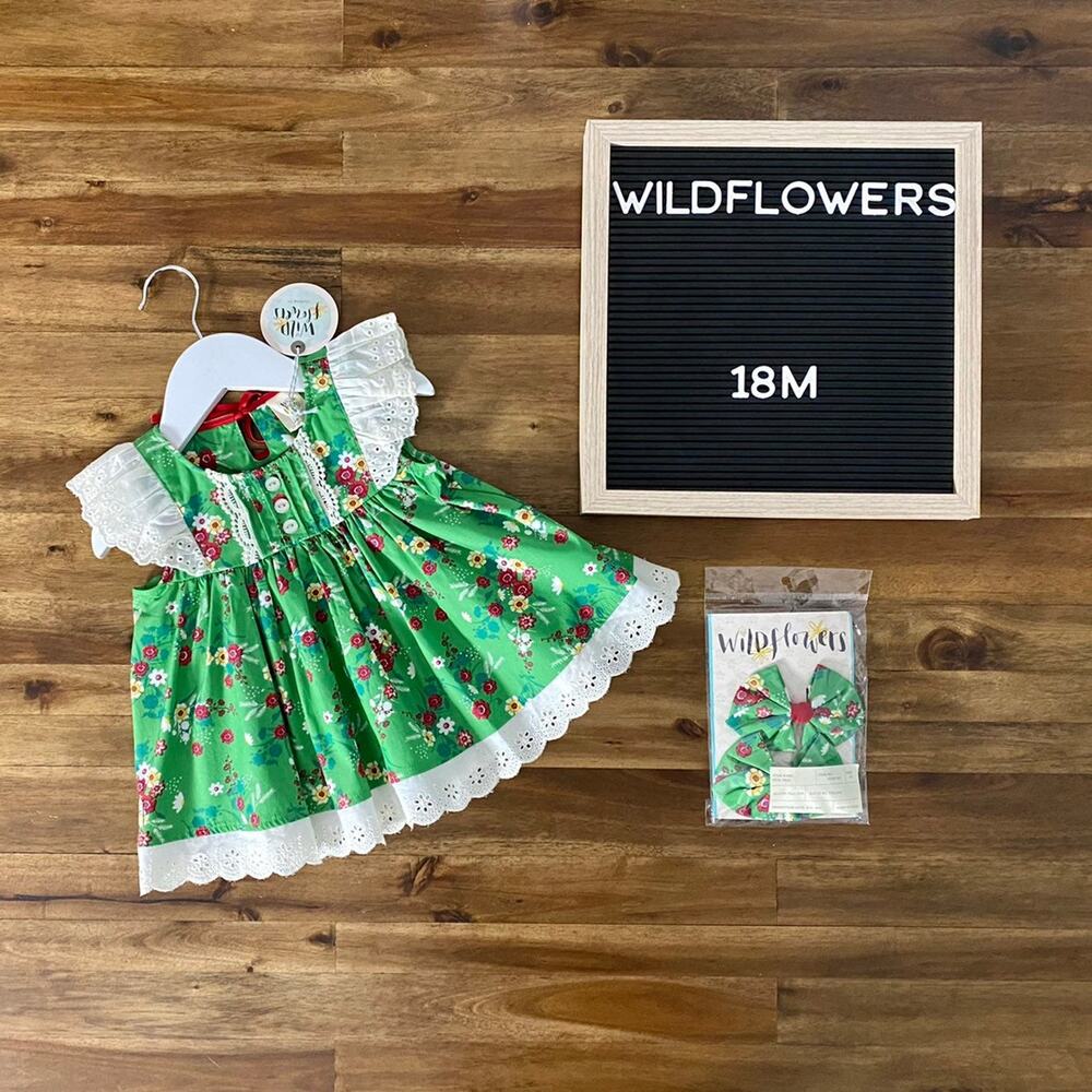 NWT Wildflowers Happy Go Lucky Green Lace Floral Festive Fern Top & Bows 18M